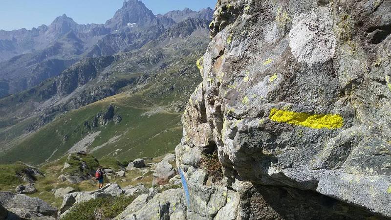 Collect to Pelouse.jpg